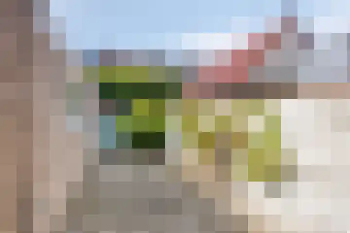 Zonnebloemstraat 8 Zwolle thumbnail 30