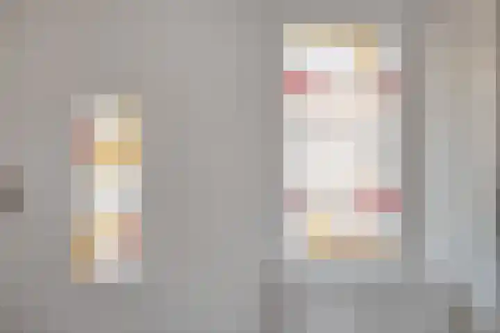 Zonnebloemstraat 8 Zwolle thumbnail 5