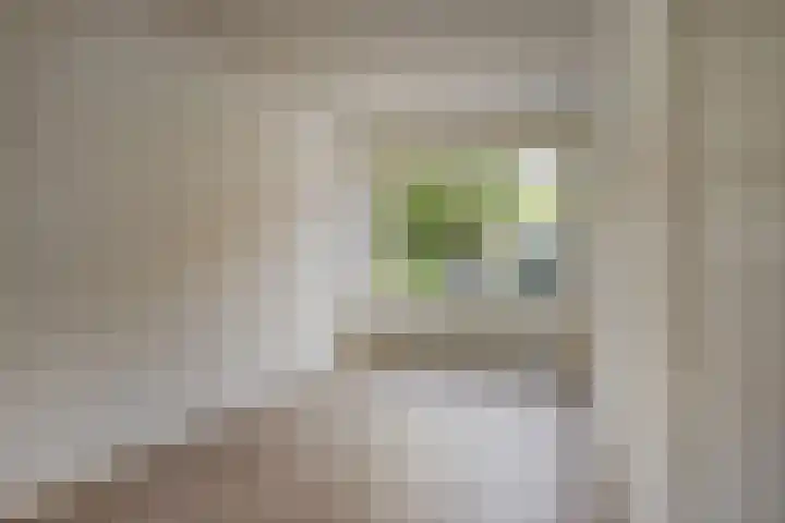 Zonnebloemstraat 8 Zwolle thumbnail 6