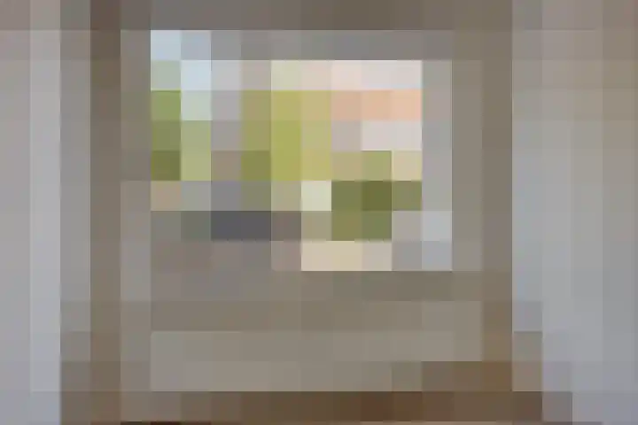 Zonnebloemstraat 8 Zwolle thumbnail 7