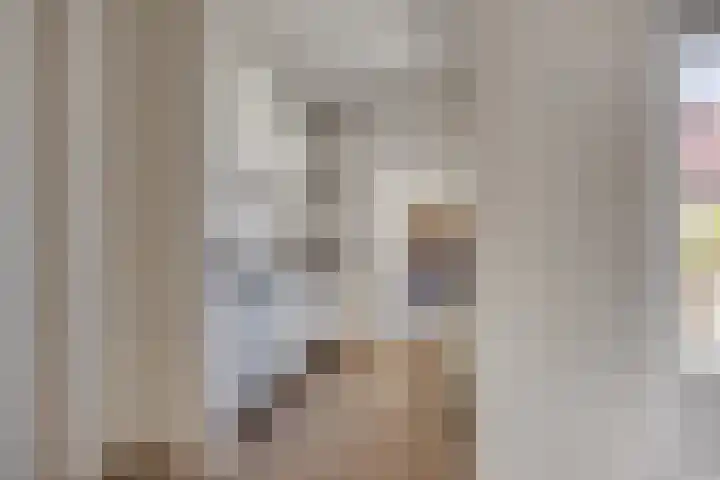 Zonnebloemstraat 8 Zwolle thumbnail 9