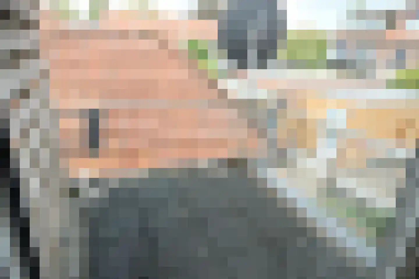 Zonnebloemstraat 9 Culemborg thumbnail 12