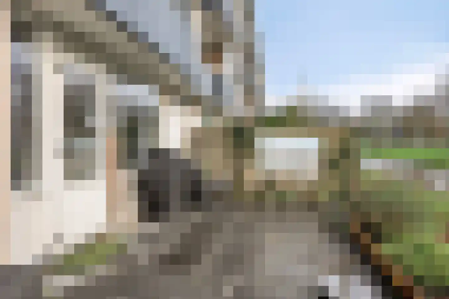 Zonnebloemstraat 92 Zwijndrecht thumbnail 25