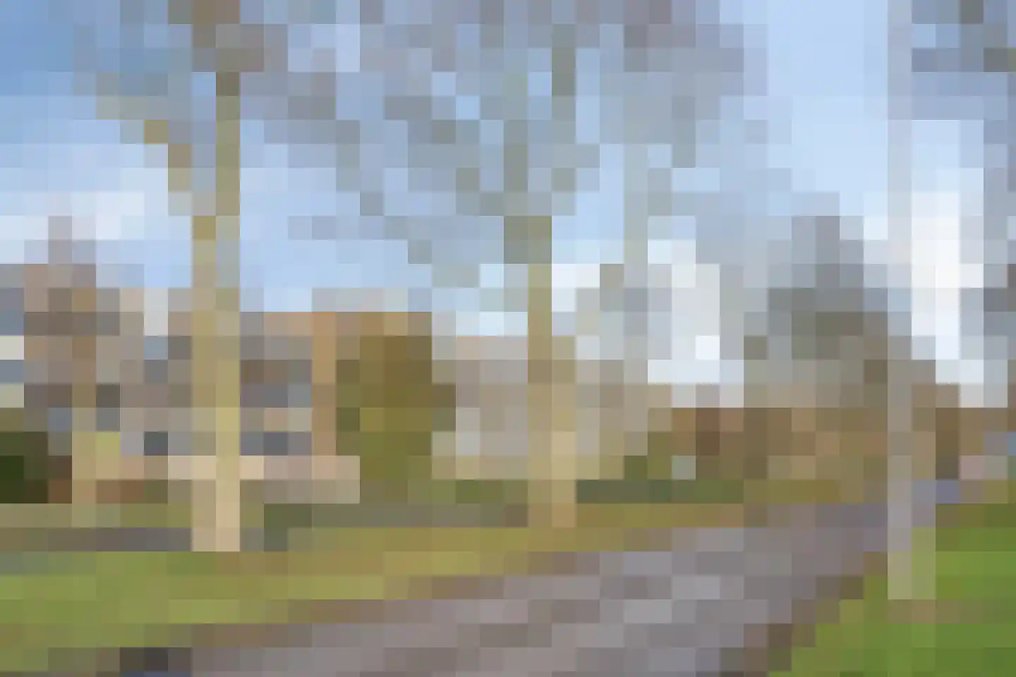 Zonnebloemstraat 92 Zwijndrecht thumbnail 42