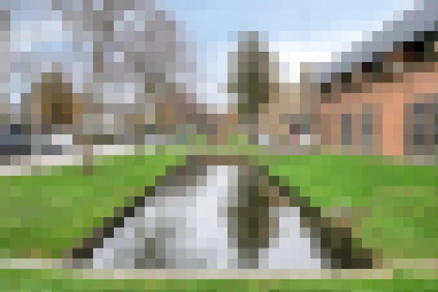 Zonnebloemstraat 92 Zwijndrecht thumbnail 44