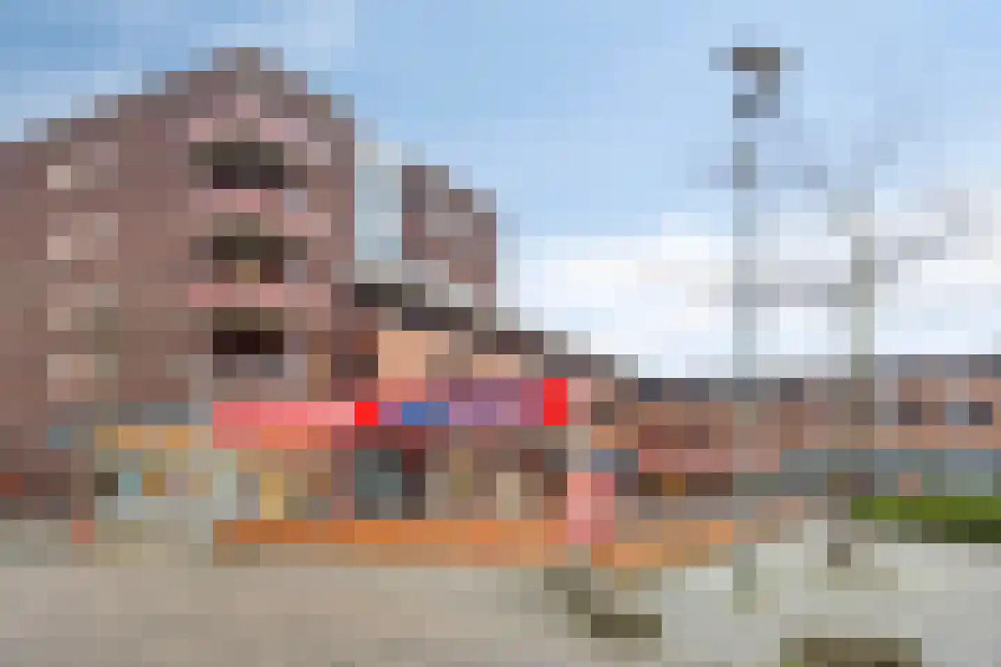 Zonnebloemstraat 92 Zwijndrecht thumbnail 45