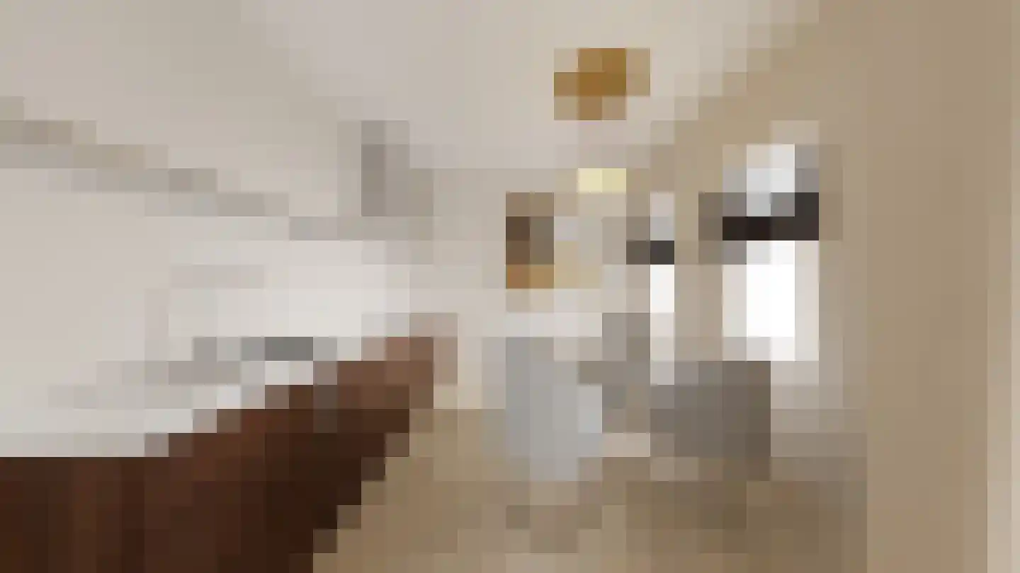 Zonnebloemtuin 12 Zoetermeer thumbnail 5