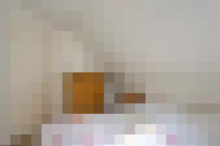 Zonnebloemweg 10 017 Lemele thumbnail 26