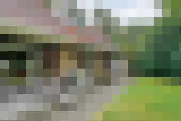 Zonnebloemweg 10 017 Lemele thumbnail 29