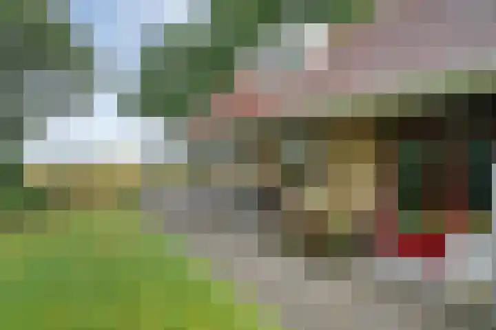 Zonnebloemweg 10 017 Lemele thumbnail 30