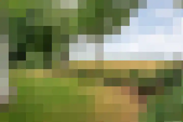 Zonnebloemweg 10 017 Lemele thumbnail 34