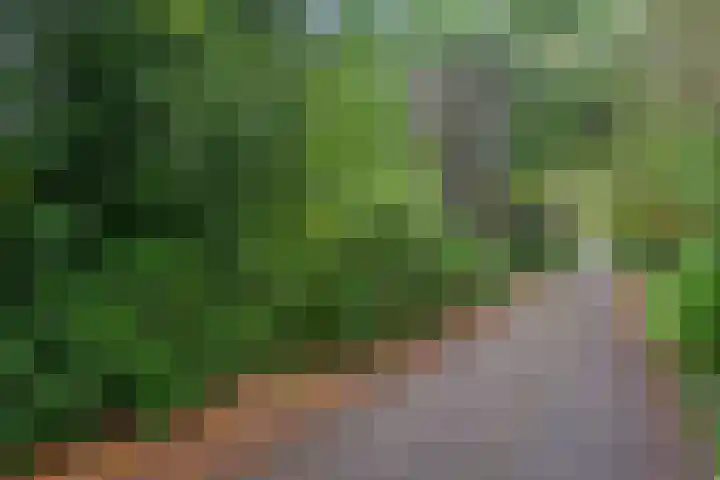 Zonnebloemweg 10 017 Lemele thumbnail 35