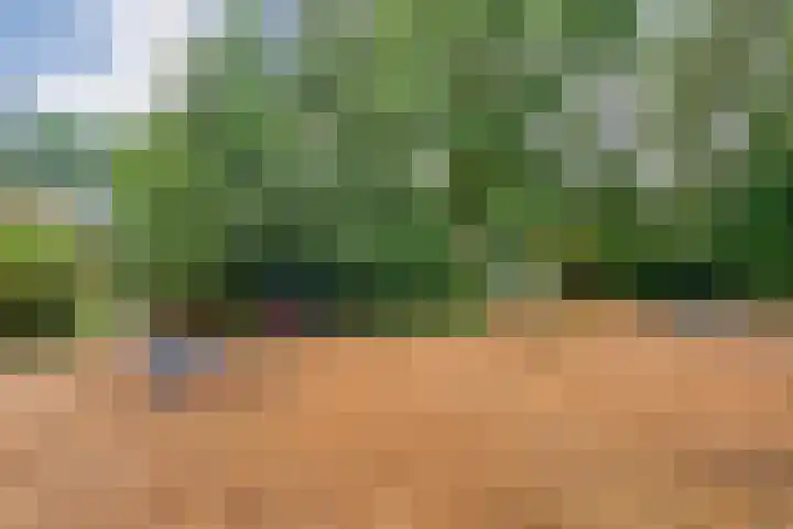 Zonnebloemweg 10 017 Lemele thumbnail 36