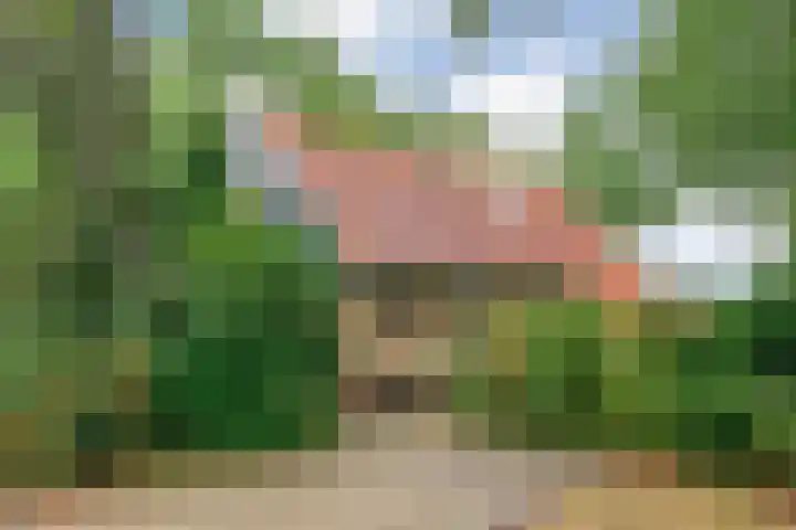 Zonnebloemweg 10 017 Lemele thumbnail 6