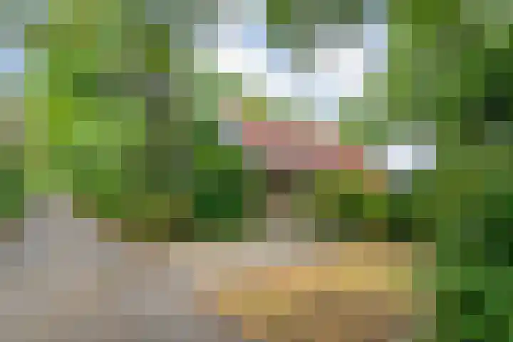 Zonnebloemweg 10 017 Lemele thumbnail 7
