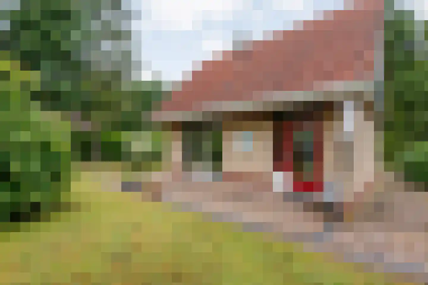 Zonnebloemweg 10 036 Lemele thumbnail 29