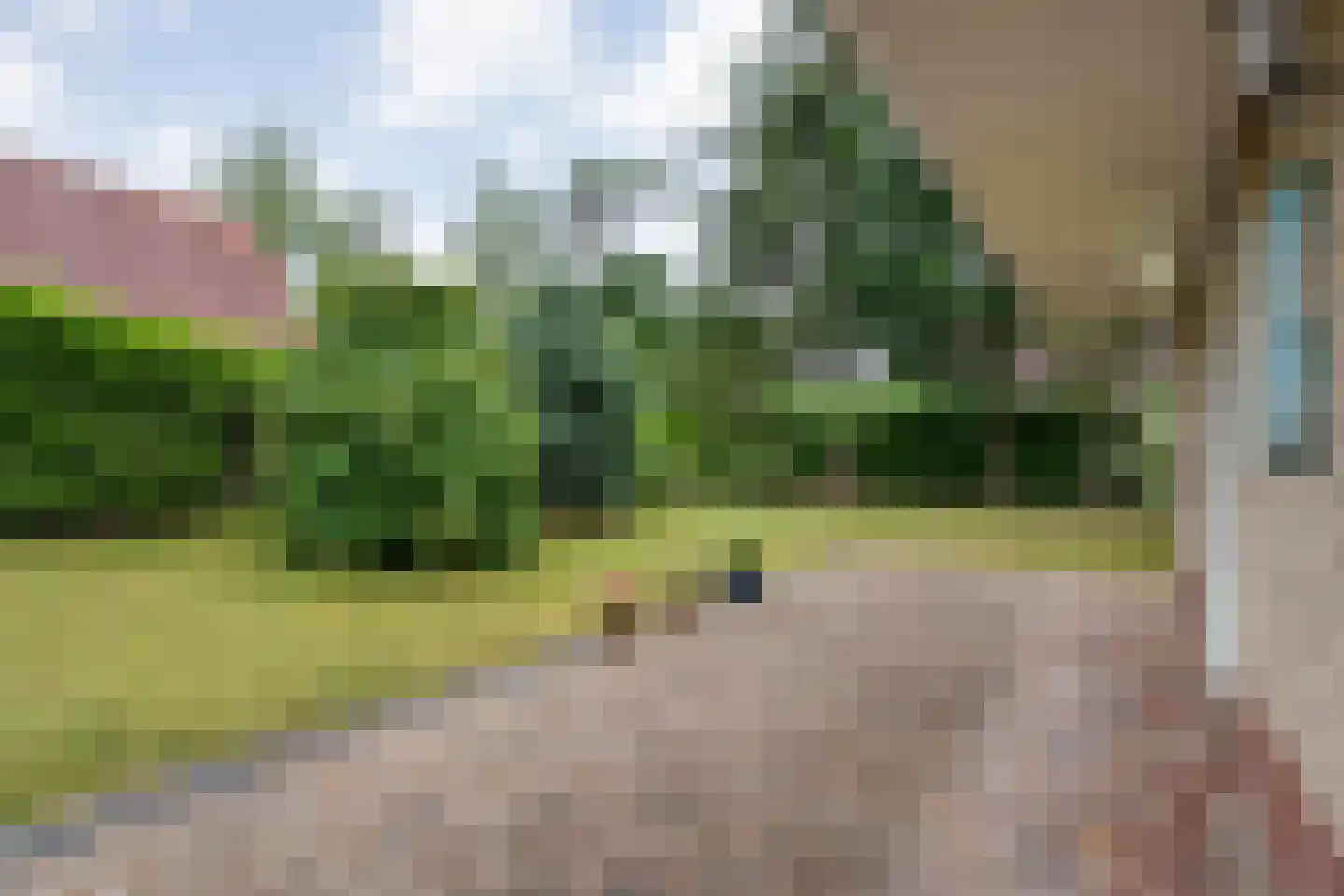 Zonnebloemweg 10 036 Lemele thumbnail 31