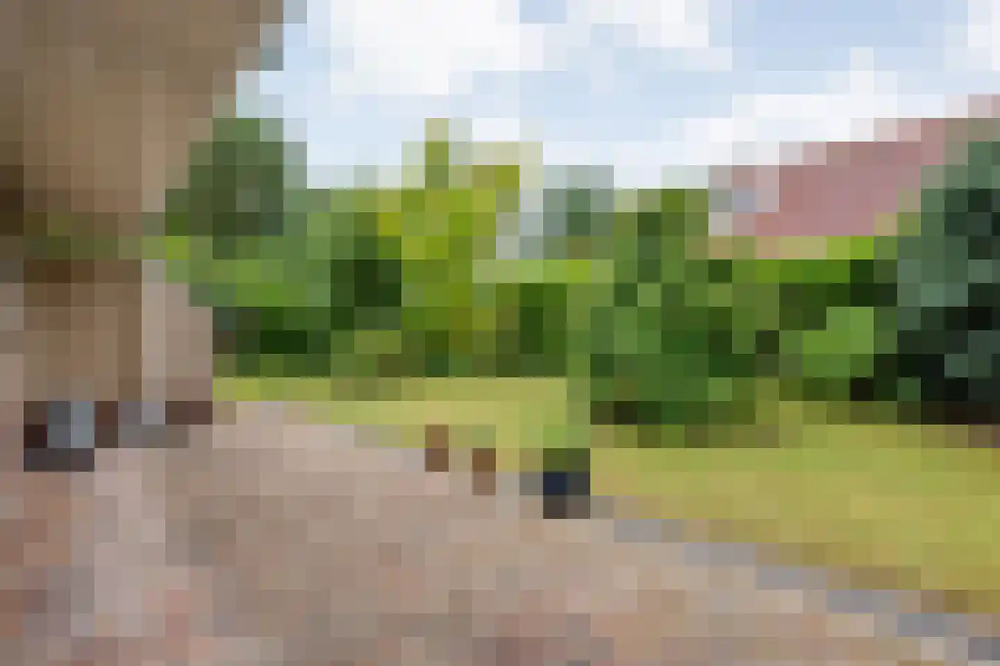 Zonnebloemweg 10 036 Lemele thumbnail 32