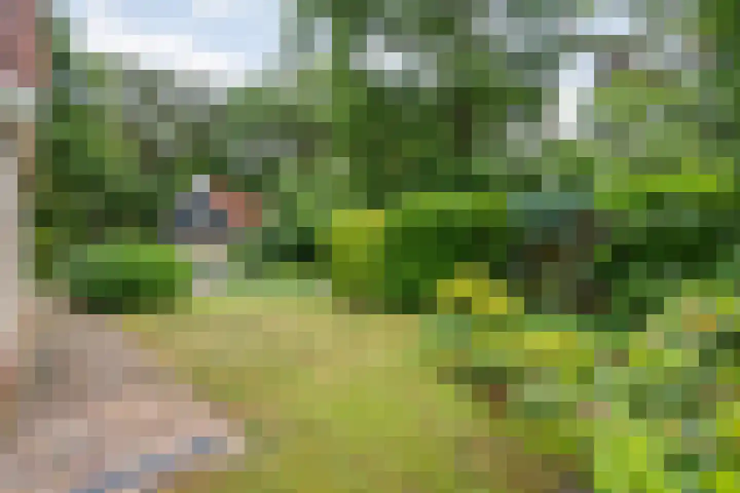 Zonnebloemweg 10 036 Lemele thumbnail 33