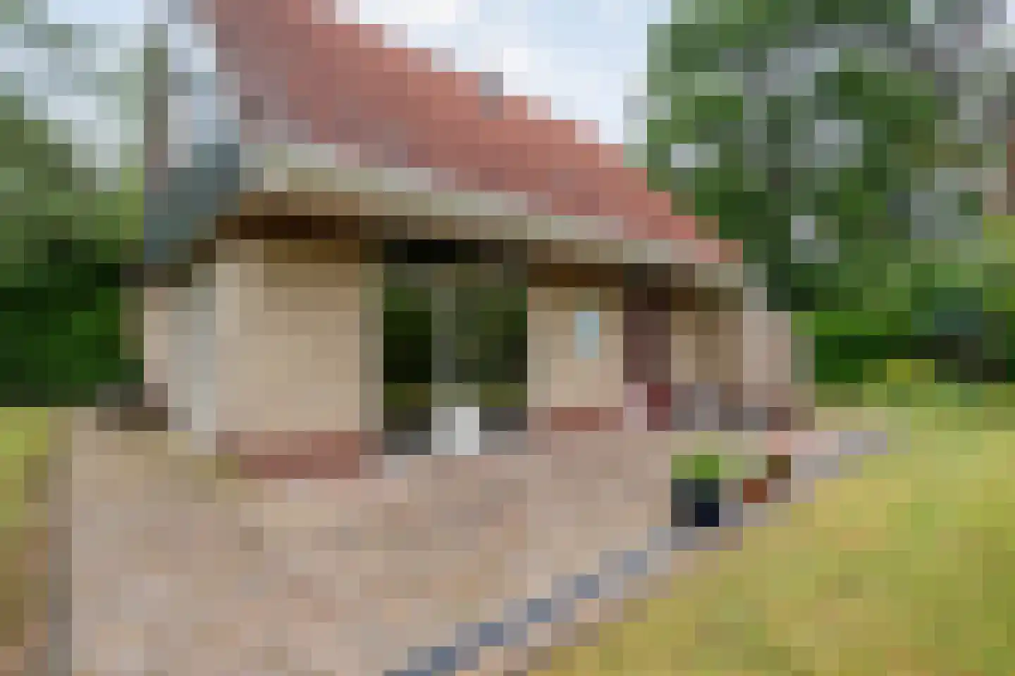 Zonnebloemweg 10 036 Lemele thumbnail 34