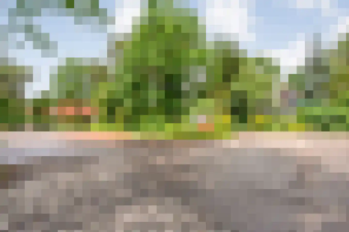 Zonnebloemweg 10 036 Lemele thumbnail 36