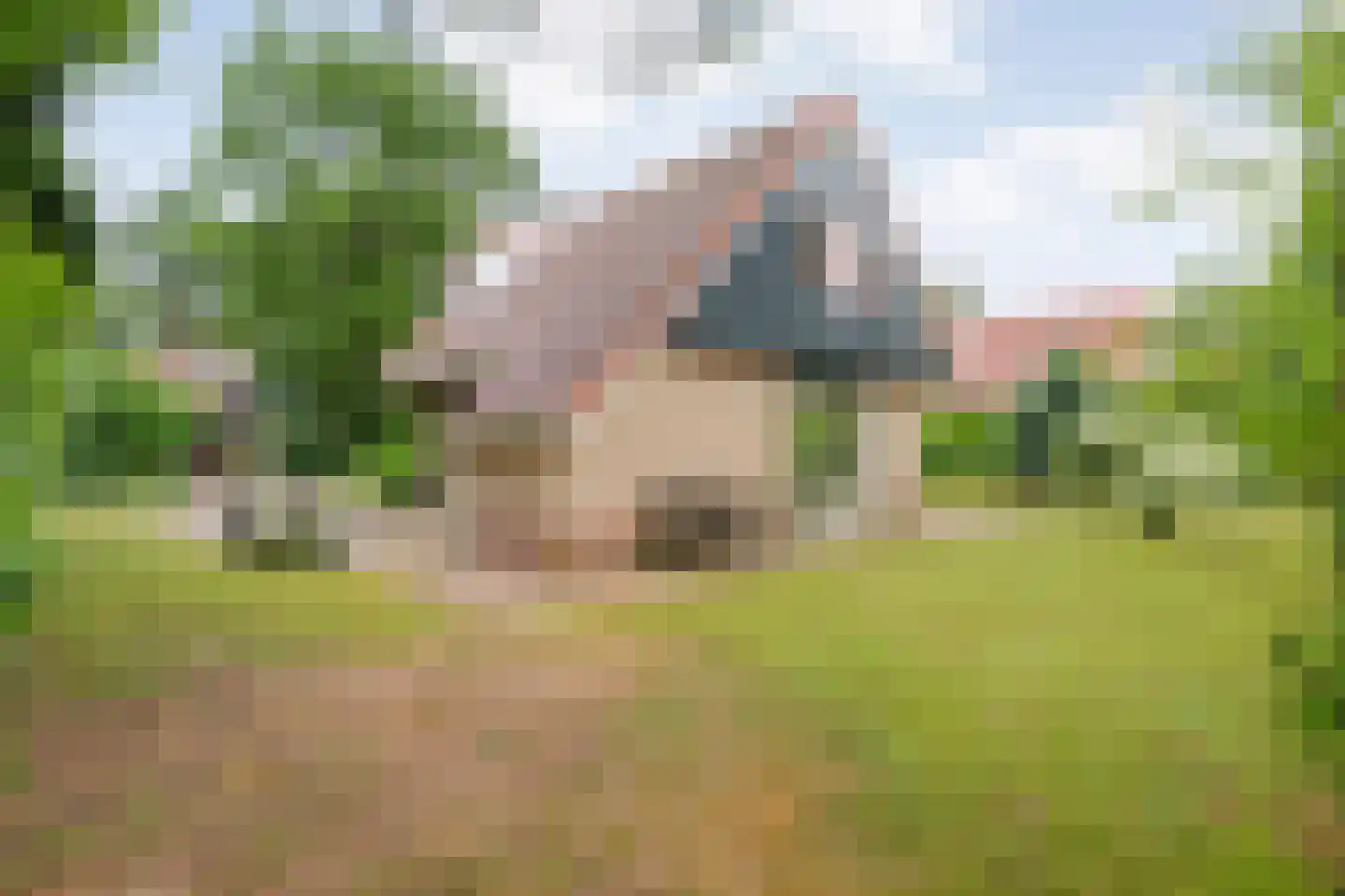 Zonnebloemweg 10 036 Lemele thumbnail 4