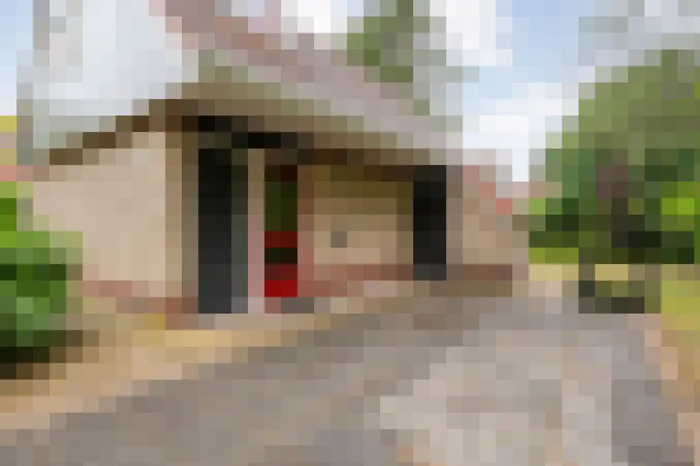 Zonnebloemweg 10 036 Lemele thumbnail 5