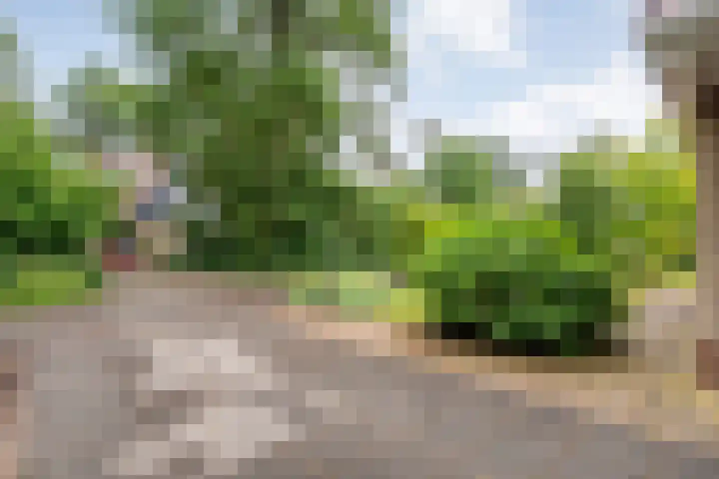 Zonnebloemweg 10 036 Lemele thumbnail 6