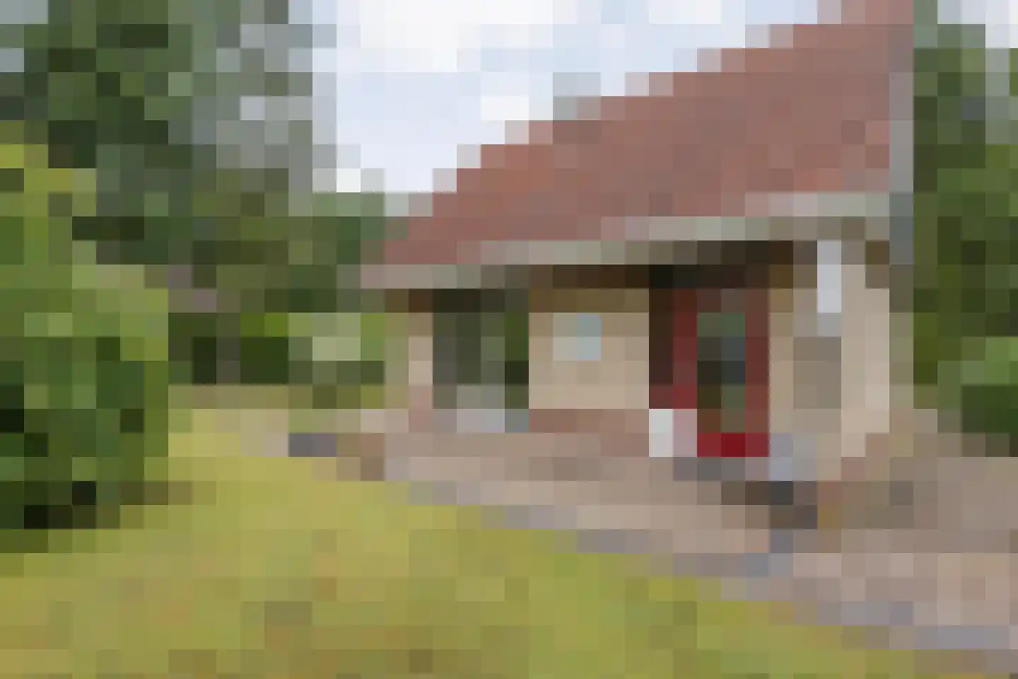 Zonnebloemweg 10 038 Lemele thumbnail 29