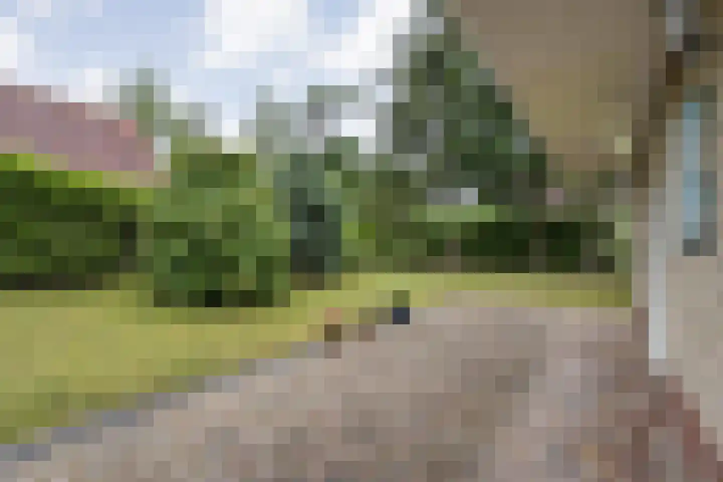 Zonnebloemweg 10 038 Lemele thumbnail 31