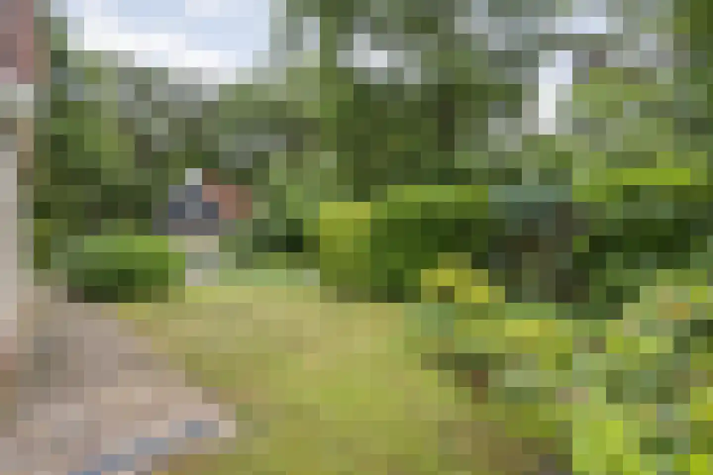 Zonnebloemweg 10 038 Lemele thumbnail 33