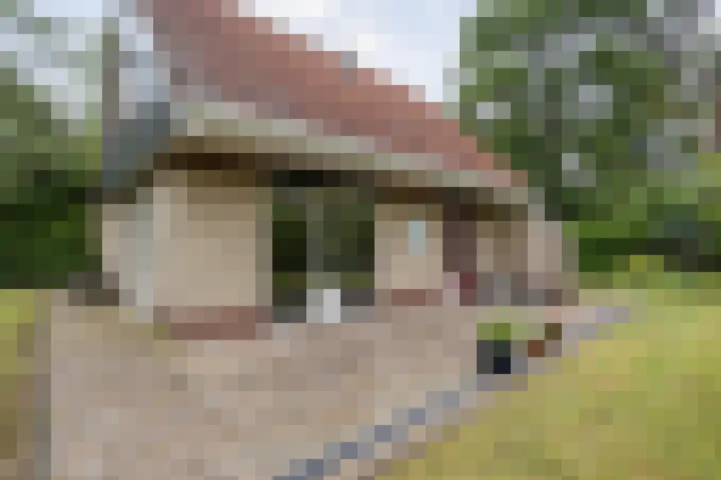 Zonnebloemweg 10 038 Lemele thumbnail 34