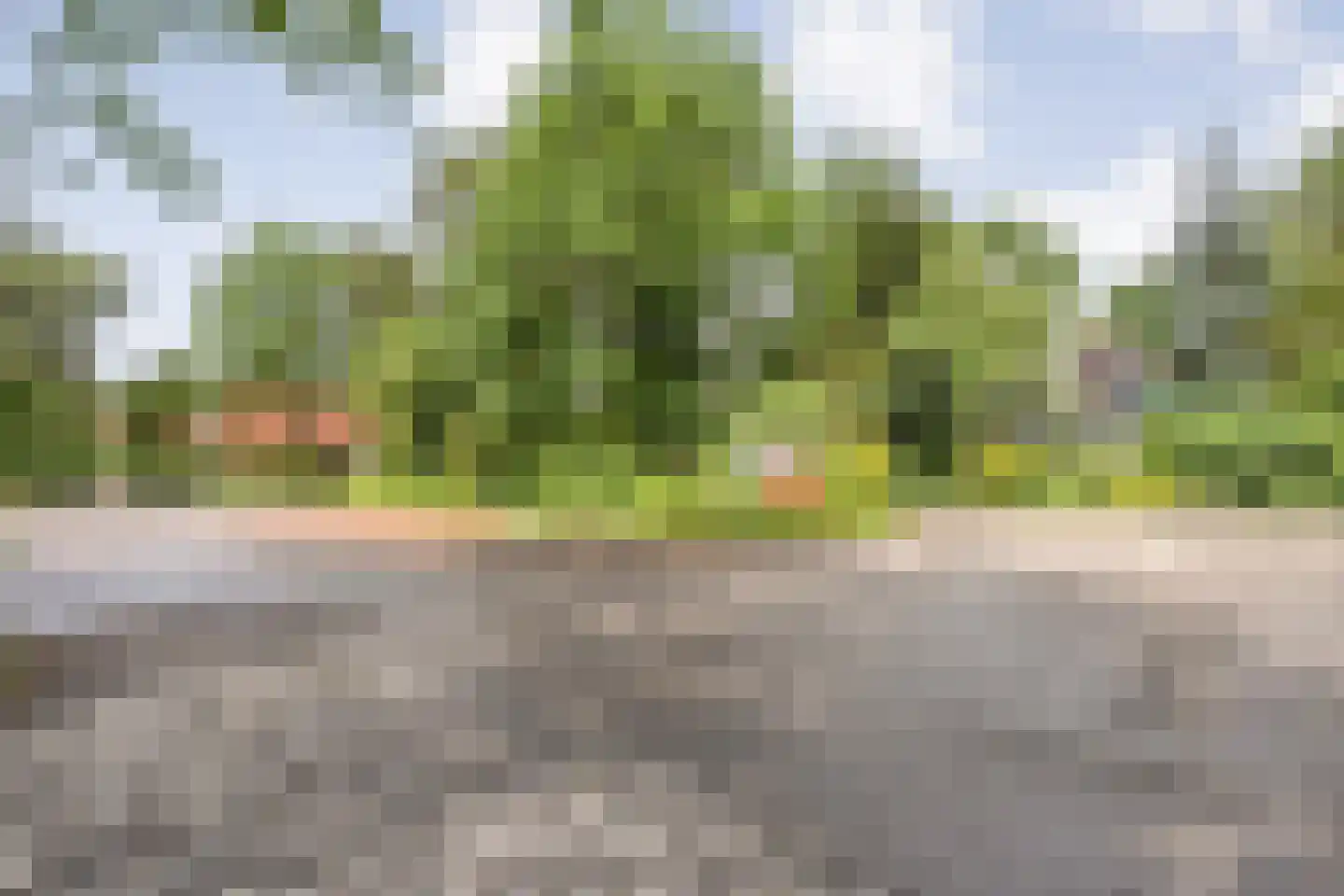 Zonnebloemweg 10 038 Lemele thumbnail 36