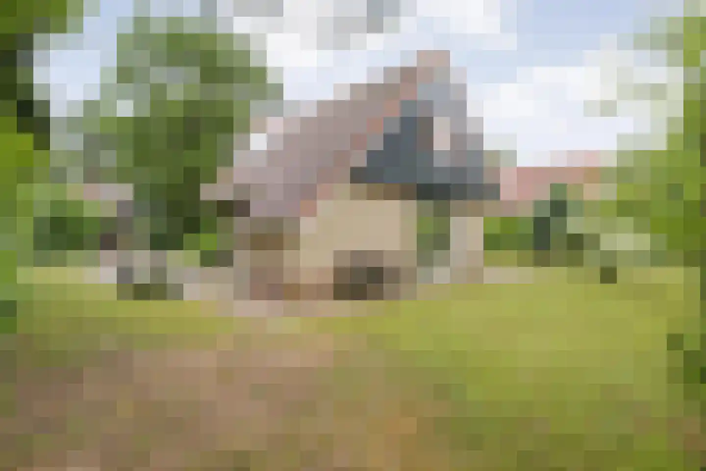 Zonnebloemweg 10 038 Lemele thumbnail 4
