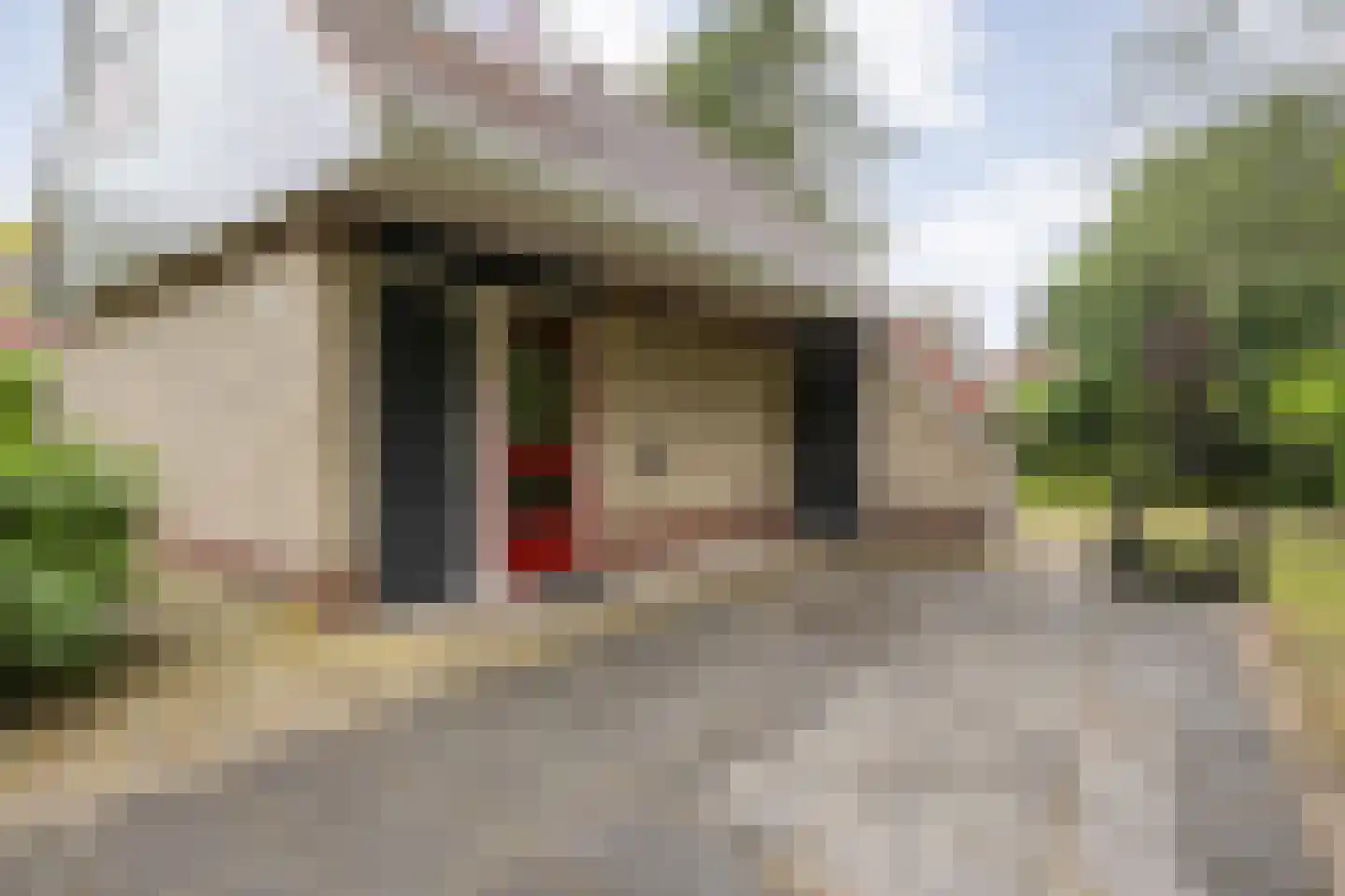 Zonnebloemweg 10 038 Lemele thumbnail 5