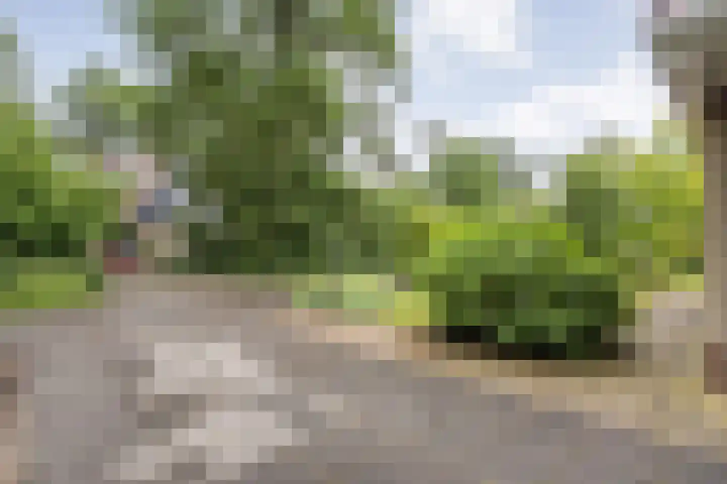 Zonnebloemweg 10 038 Lemele thumbnail 6