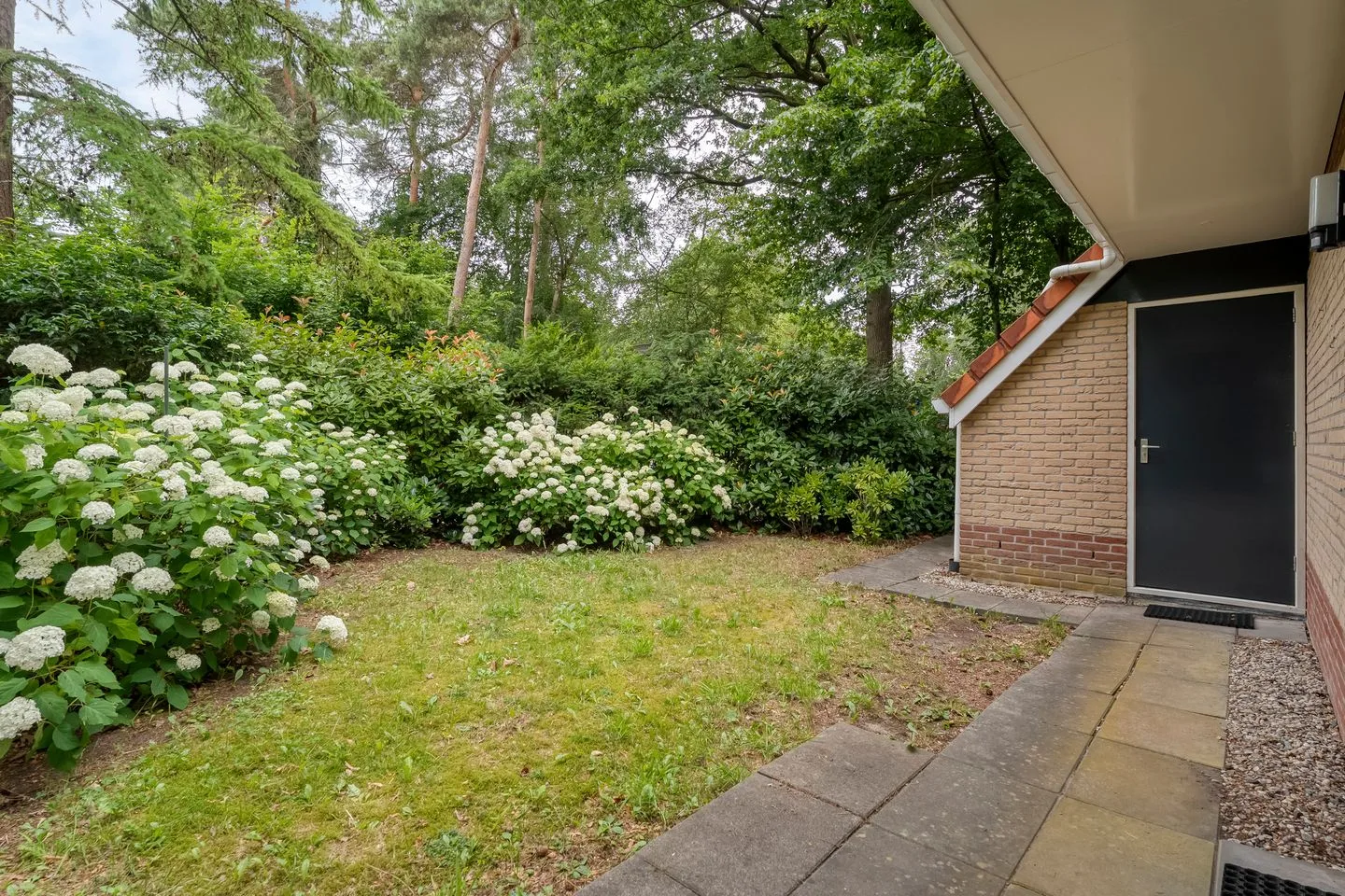 Zonnebloemweg 10 044 Lemele thumbnail 11