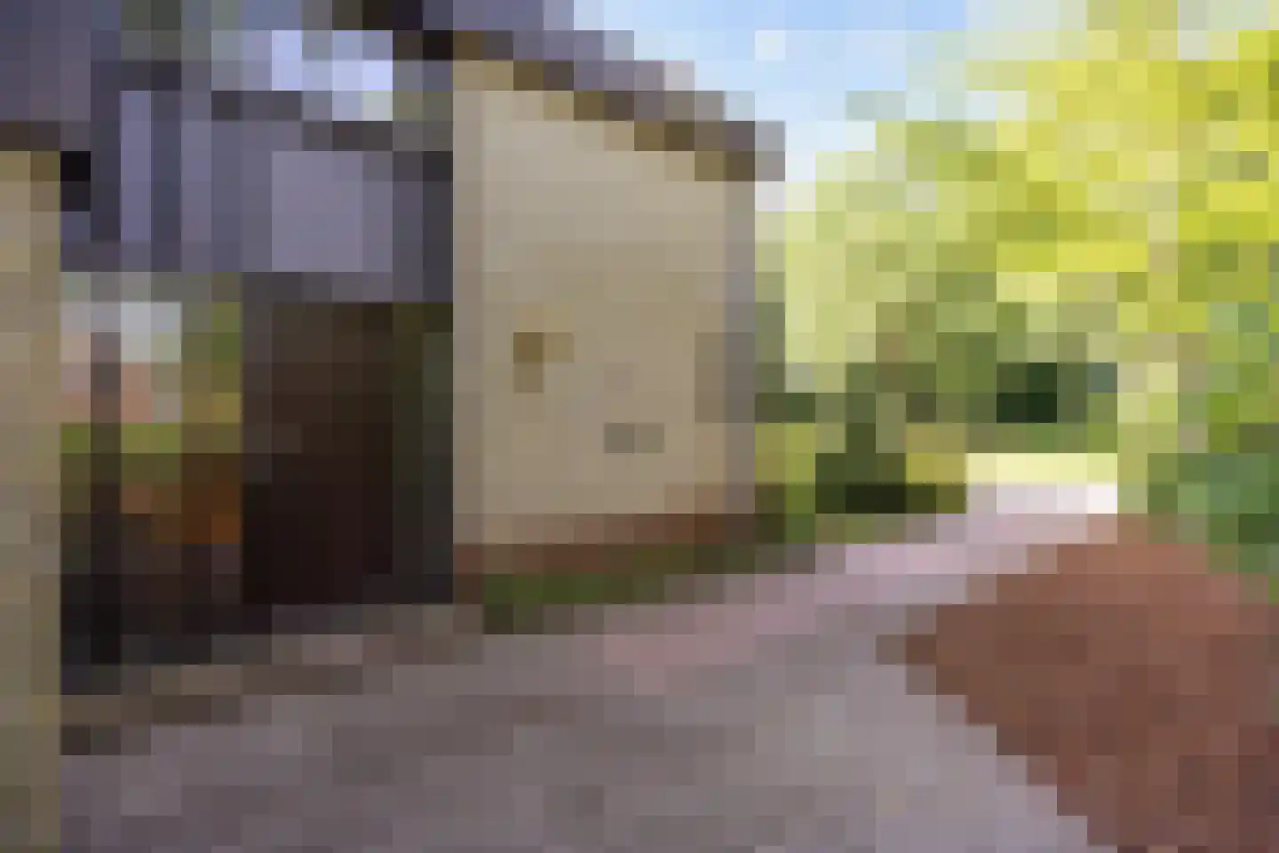 Zonnebloemweg 21 Paterswolde thumbnail 10
