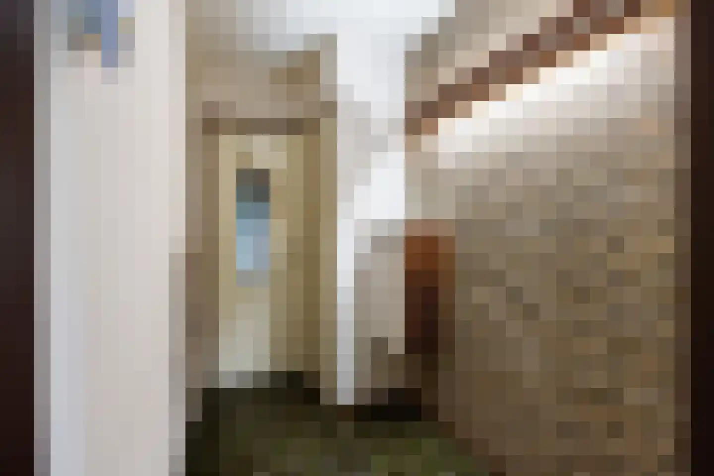 Zonnebloemweg 21 Paterswolde thumbnail 12