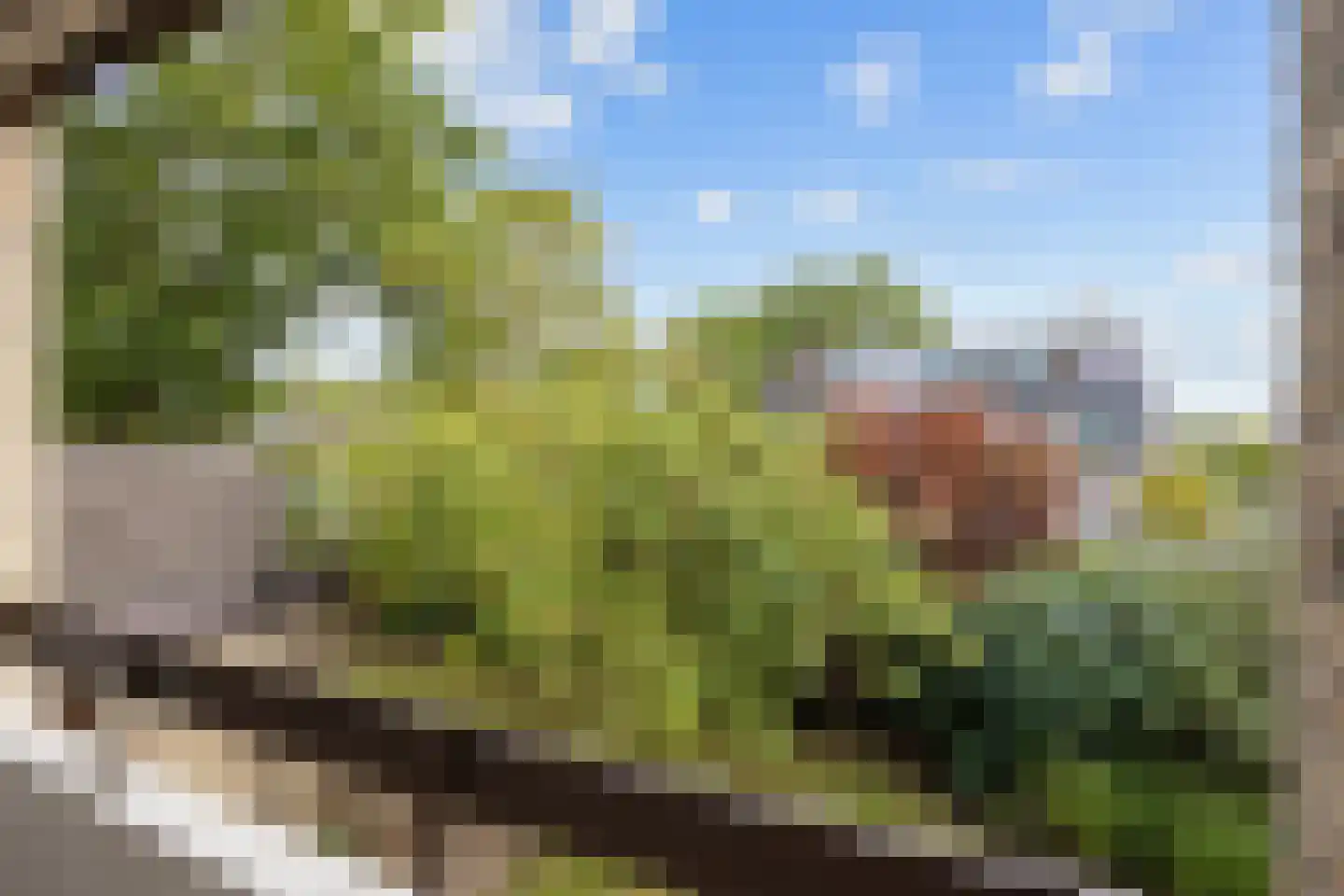 Zonnebloemweg 21 Paterswolde thumbnail 35