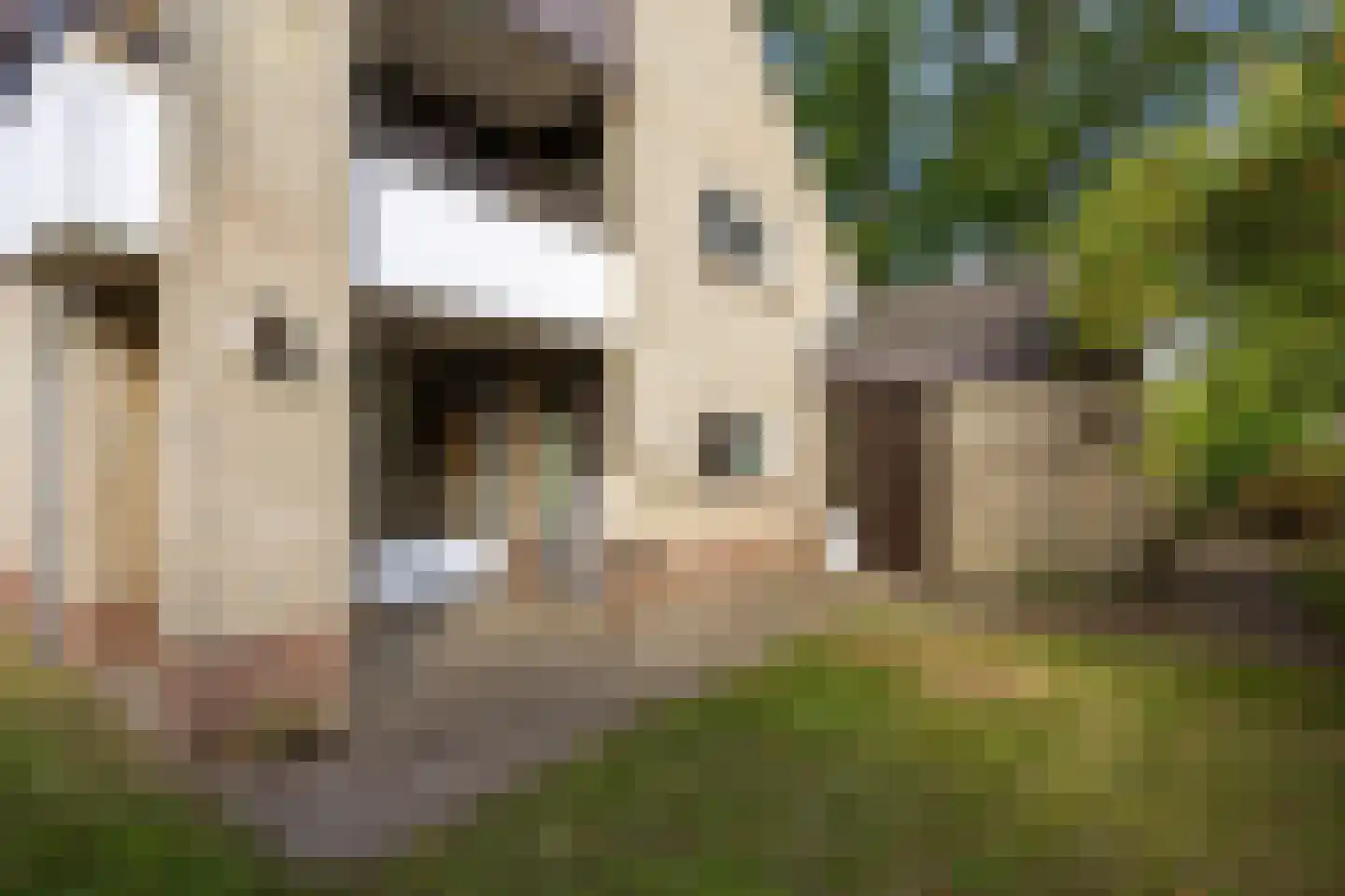 Zonnebloemweg 21 Paterswolde thumbnail 54