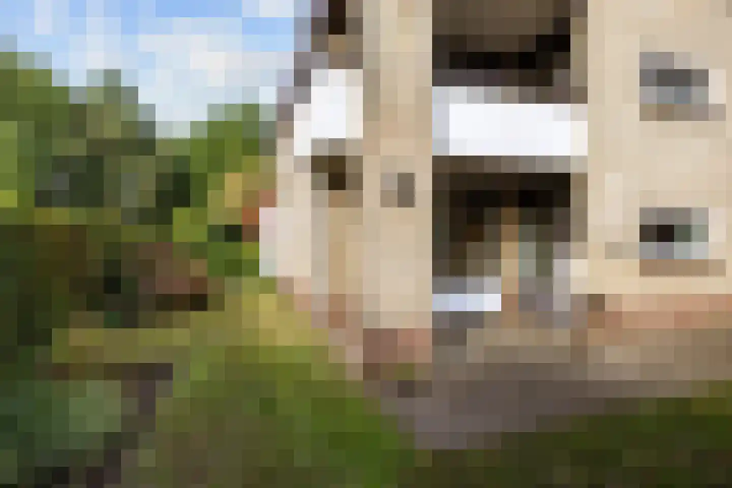 Zonnebloemweg 21 Paterswolde thumbnail 55