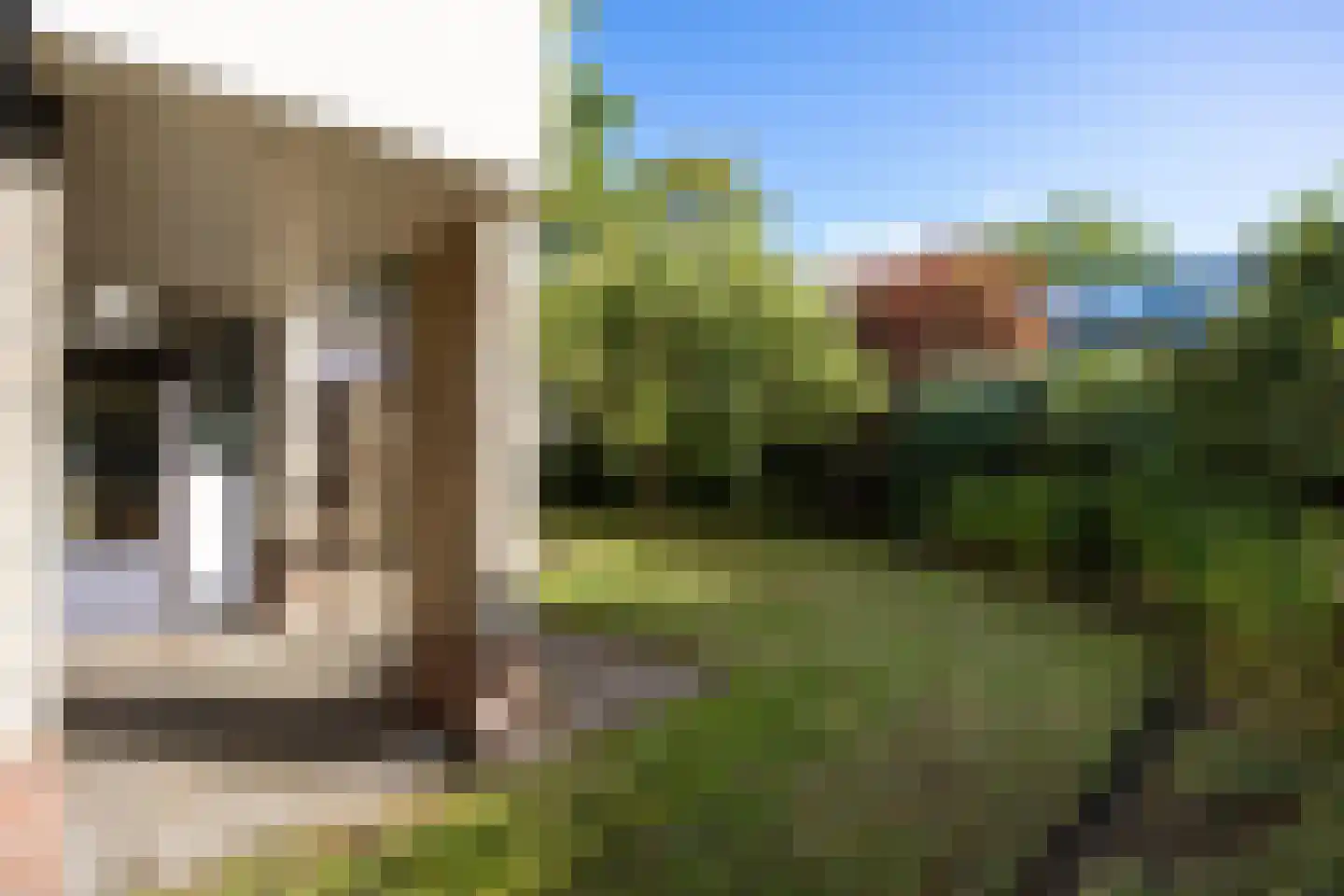 Zonnebloemweg 21 Paterswolde thumbnail 56