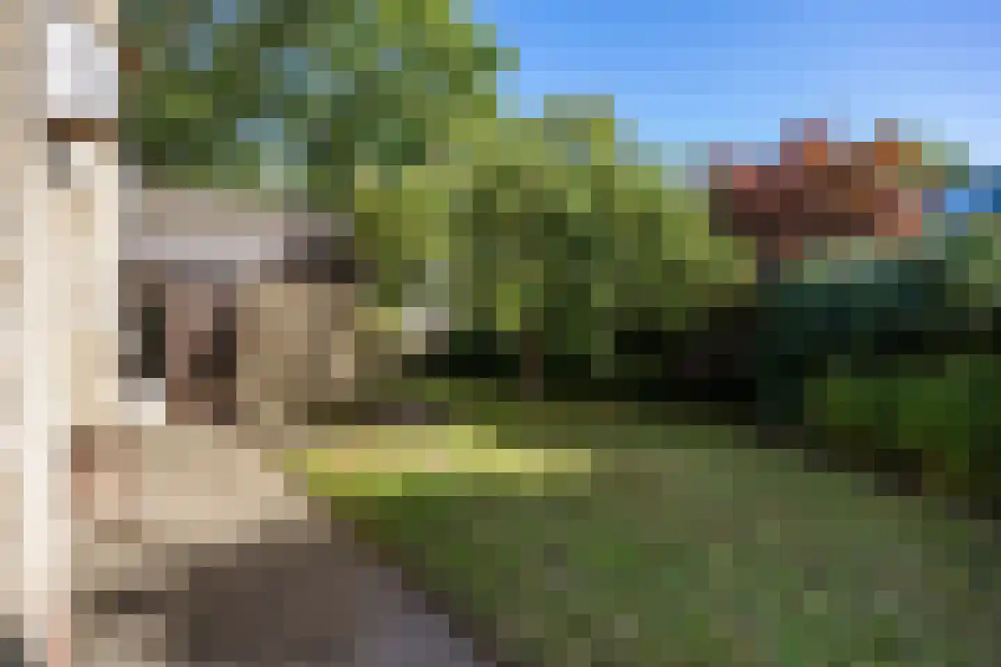 Zonnebloemweg 21 Paterswolde thumbnail 57