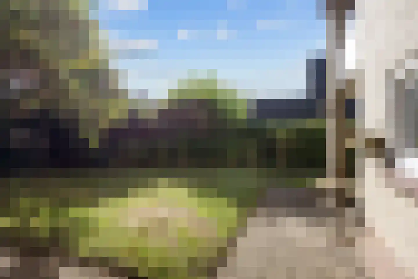 Zonnebloemweg 21 Paterswolde thumbnail 58