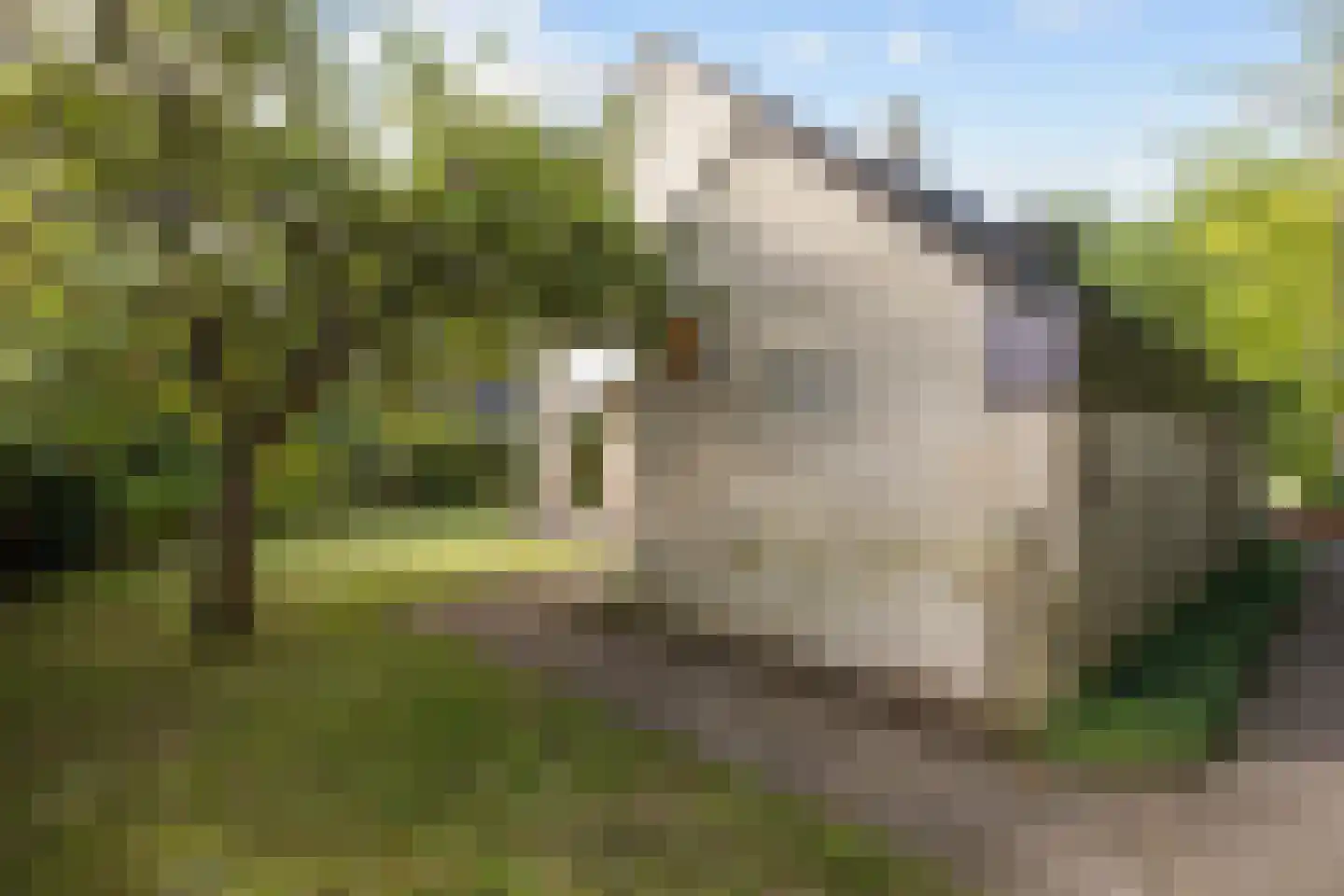 Zonnebloemweg 21 Paterswolde thumbnail 59