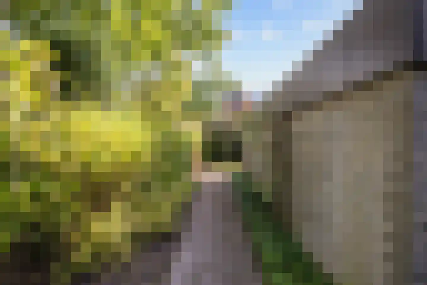 Zonnebloemweg 21 Paterswolde thumbnail 60