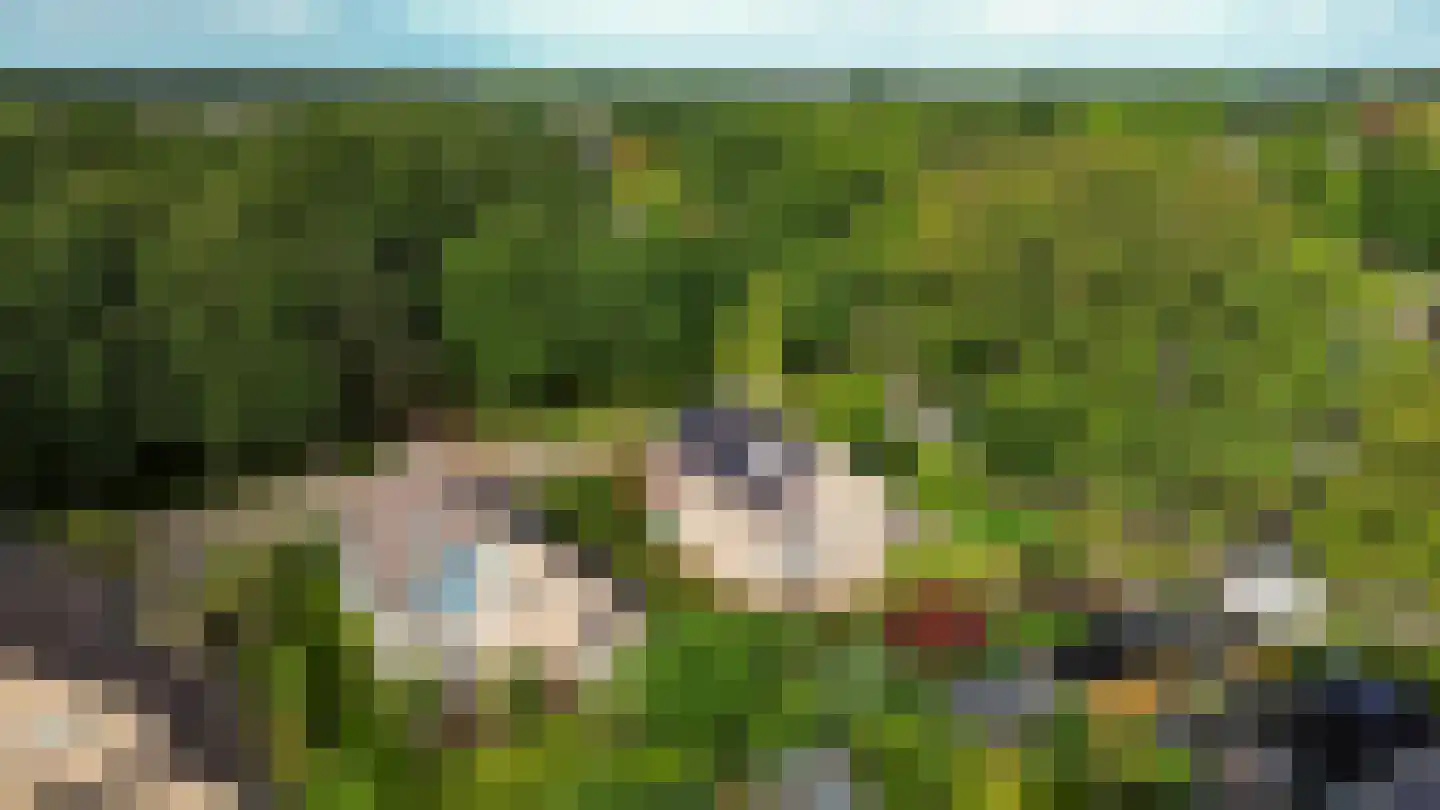 Zonnebloemweg 21 Paterswolde thumbnail 61