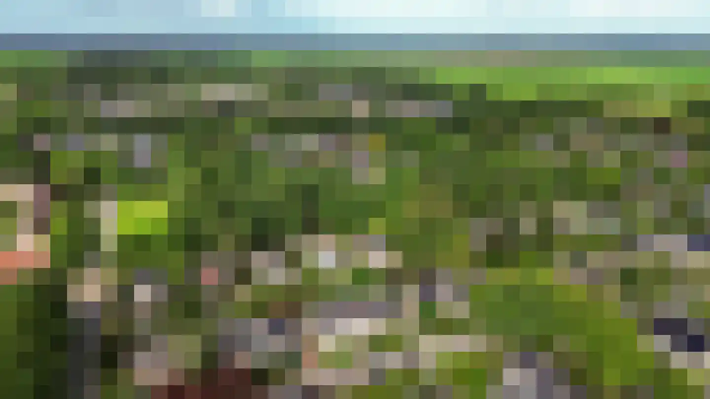 Zonnebloemweg 21 Paterswolde thumbnail 62