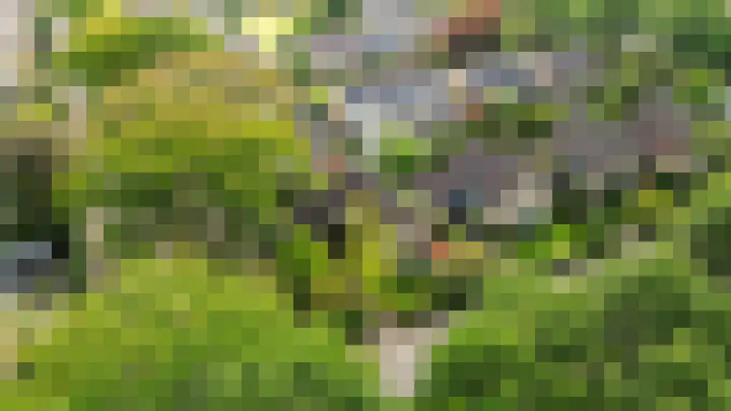 Zonnebloemweg 21 Paterswolde thumbnail 63